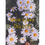 Good Vibes Only! :)