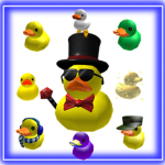 The Duck By Ali