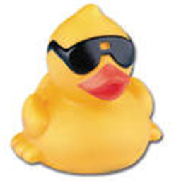 Obby For The Ducks Of The World!