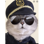 The police team cat