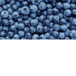 blueberries13
