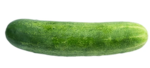 this my pet