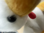 Weird duck