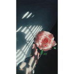 aesthetic_things