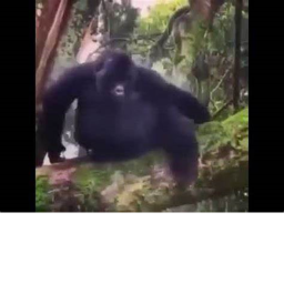 Monke World