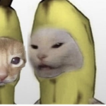Rat And animal Peopl