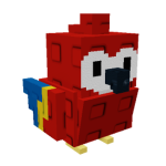 Scarlet Macaw