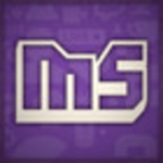 mellstroy group
