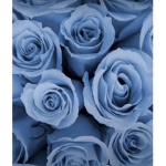 Blue Rose Army