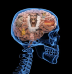 brainrottedd