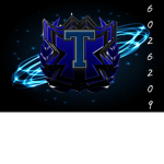 T3S1A
