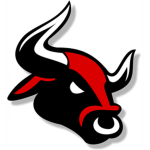 bulls on parade