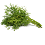 The Dill Group!!!!