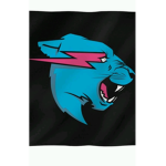 The Shadowstorm Ninja Legends