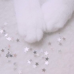 ♡
