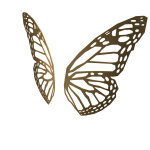 Golden Butterfly Wings - Mariah Carey