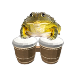 Froggo Bongo