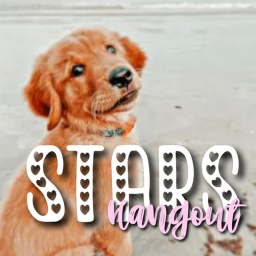 💓 🏝️ Stars Hangout! 🐬