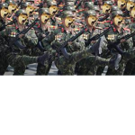 The Holy Doge Army