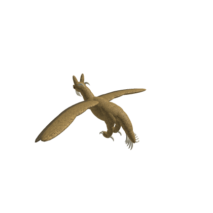 Safari dragon (chub female)