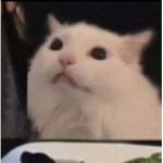 EEEEEEEE XD