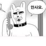 안사요