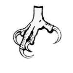 The Ice Hand Brotherhood