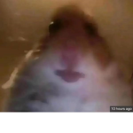 Minecraftgamerpro046