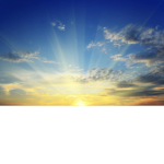 Sunshine forlife