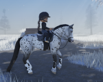 Eventer.Academy