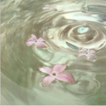 .angelchui.