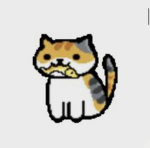 País of cats