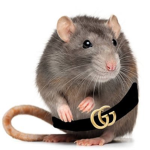 Gucci rat rat squad