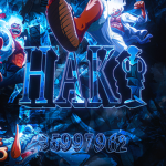 は Haki