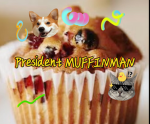 Muffin develops