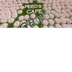 peed,s cafe group