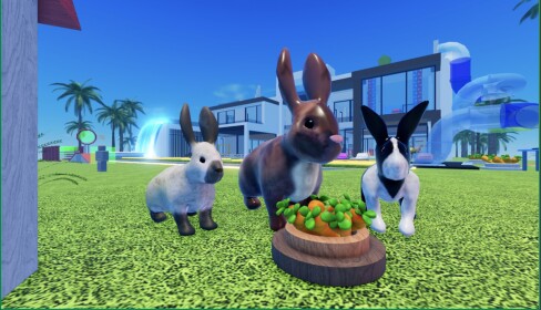 Bunny Game 🐰