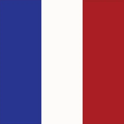 FR • French Republic Roblox group icon