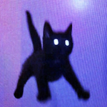 Cookiie cats
