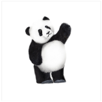 The Panda Palace