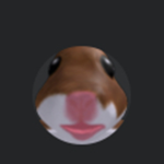 Staring Hampster Cult