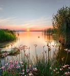 Advertising Sunrise