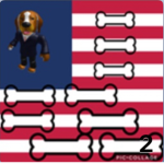 dog_united