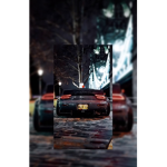 ZSfurious