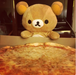 • Cute bears •