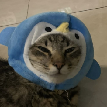 .
