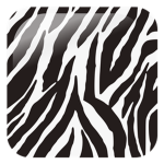 zebras clothing