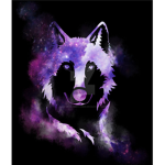 The White River Wolf pack