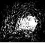 Hollow Cavity
