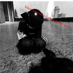 bc_pro bros